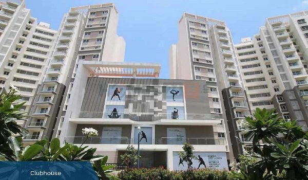 Featured Image of Purva 270